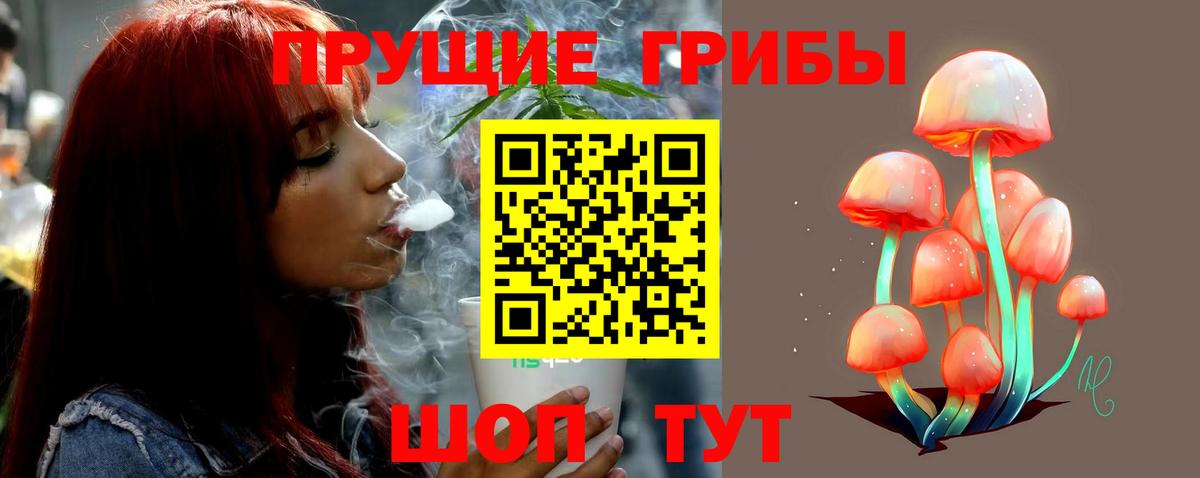 Псилоцибиновые грибы мухоморы Мариинск